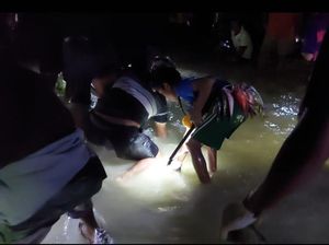 Melihat Tradisi Manee di Talaud, Warga Ramai-ramai Tangkap Ikan