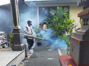 Antisipasi DBD dan Cikungunya, Diskes Semprot Fogging di Padangsambian