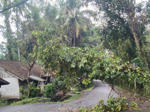 Hujan Deras, Pohon Tumbang Timpa Kabel PLN di Bebandem Karangasem