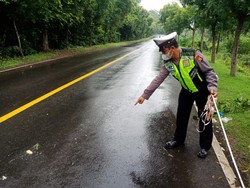 Kecelakaan Tunggal di Gerokgak Tewaskan Satu Pemotor