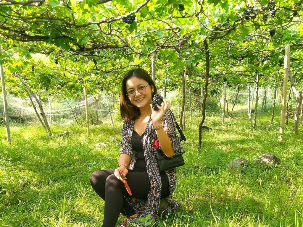 Wisata dan Belanja di Kebun Anggur Bunutan Karangasem