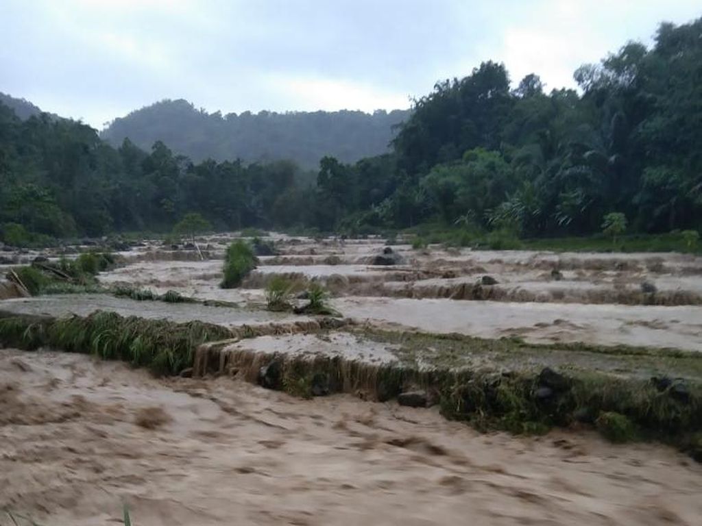 Sungai di Gowa Meluap, 6 Ternak Warga Hanyut-Sawah Gagal Panen