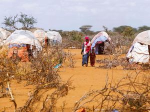 Miris, 345 Juta Orang di Dunia Alami Kelaparan Akut