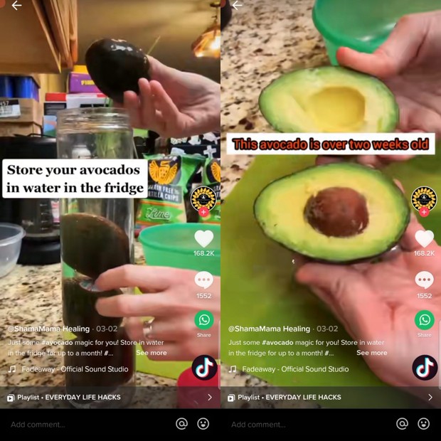 Viral di tiktok, ternyata cara menyimpan alpukat ini berbahaya/Foto: TikTok.com/@shamamamahealing