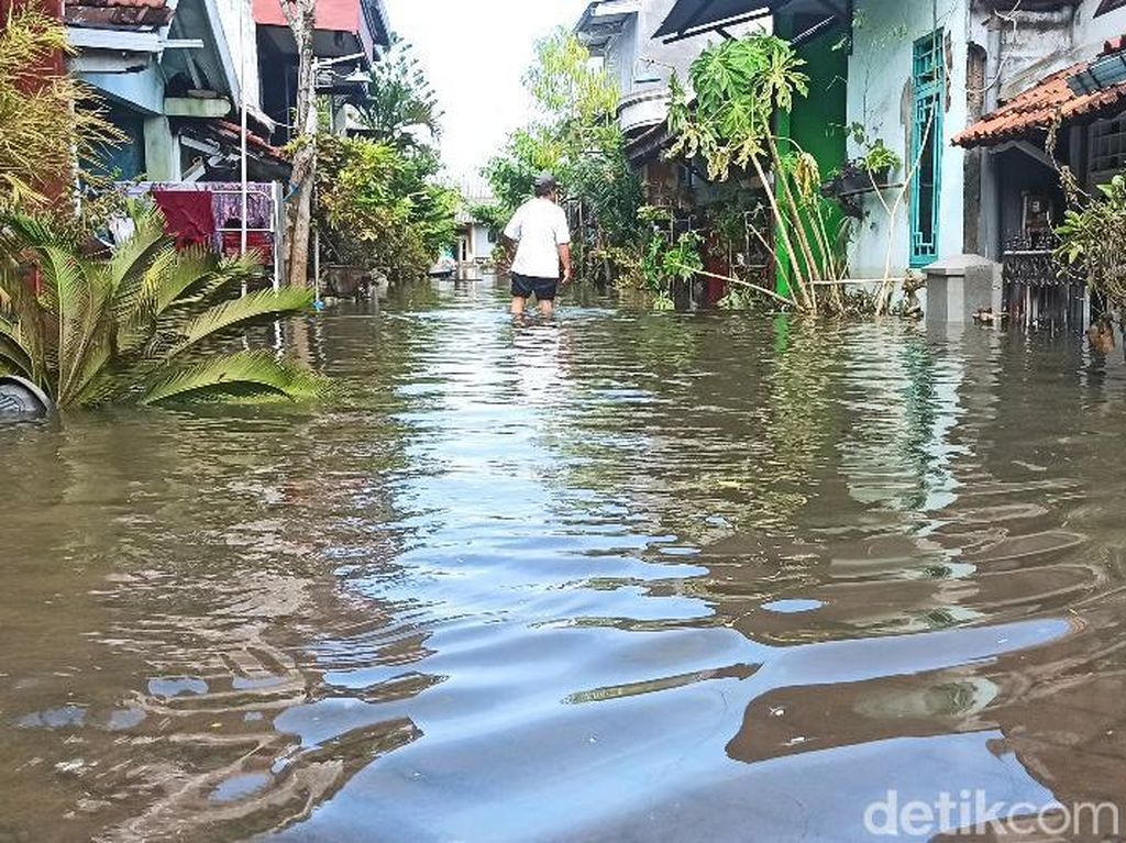 Banjir Rob di Demak, Rumah Masih Terendam-Warga Bertahan di Pengungsian