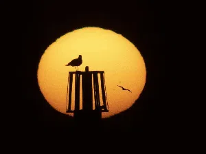 Foto-foto Lansekap dari Daratan Inggris yang Bikin Kamu Jatuh Hati Foto-foto Lansekap dari Daratan Inggris yang Bikin Kamu Jatuh Hati