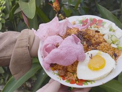 Cerita Pemilik Rintis Usaha Nasi Goreng Padang Upiak