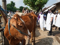 Ini 7 Langkah Strategis Bupati Kediri Kendalikan Wabah PMK