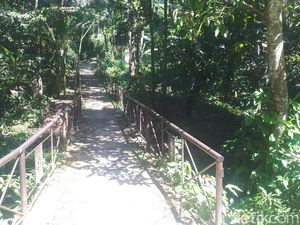 Kisah Mistis Penelusuran Lokasi KKN Desa Penari (1) Kisah Mistis Penelusuran Lokasi KKN Desa Penari (1)