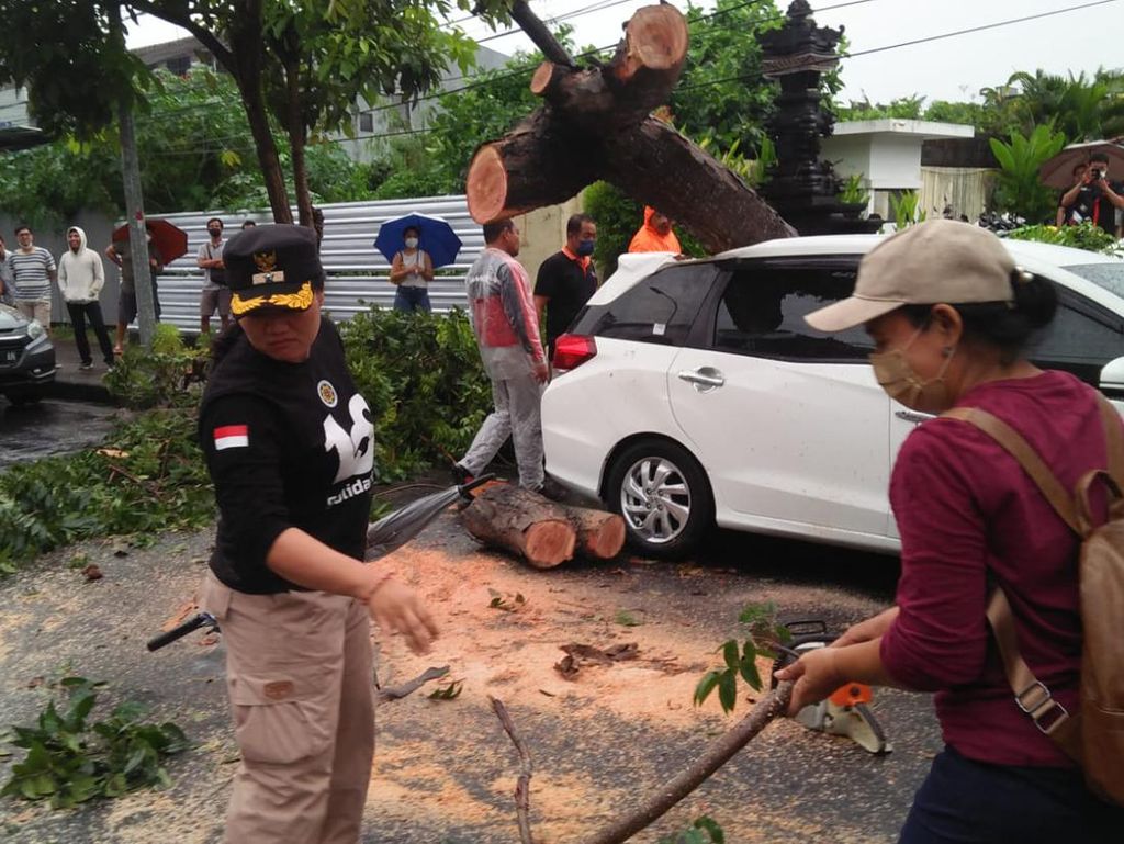 Cuaca Buruk di Bali Sebabkan Pohon Tumbang-Pesawat Gagal Mendarat