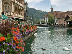 Upaya Terbaru Tim Penyelamat Cari Eril di Sungai Aare Swiss