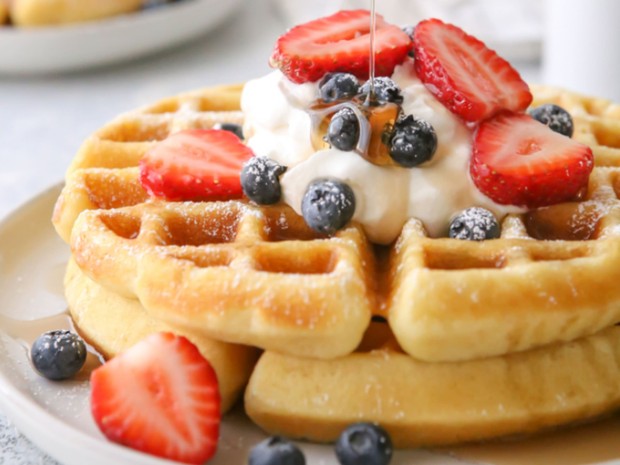 Potret Waffle sebagai teman menonton TV