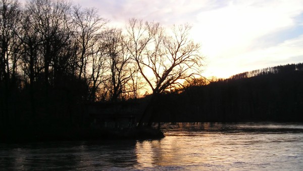 Sungai Aare Sungai Aare