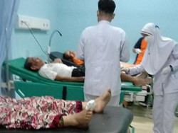 3  Petani di Bantarkawung Brebes Diserang Babi Hutan