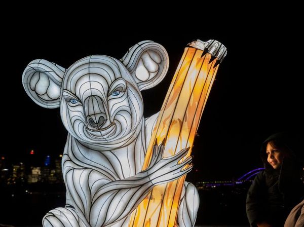 Keren Banget! Hewan-hewan di Sydney Bisa Bersinar Lho