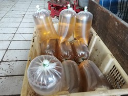Ini Bocoran Kemasan Minyak Goreng Sederhana Rp 14.000/Liter di Supermarket