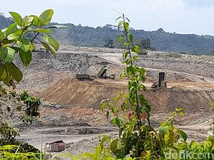 Jalan Digali Tanpa Persetujuan Tukar Guling, Perusahaan Batu Bara Bisa Dipidana Jalan Digali Tanpa Persetujuan Tukar Guling, Perusahaan Batu Bara Bisa Dipidana