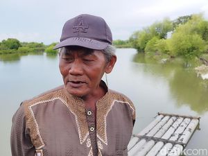 Pilu Petambak di Gresik, 50 Ribu Ikan Hanyut Terbawa Banjir Rob Pilu Petambak di Gresik, 50 Ribu Ikan Hanyut Terbawa Banjir Rob