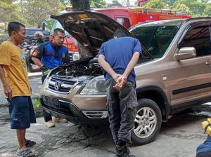 6 Cara Mencegah Ular Bersarang di Mobil, Kenapa Bisa Masuk?