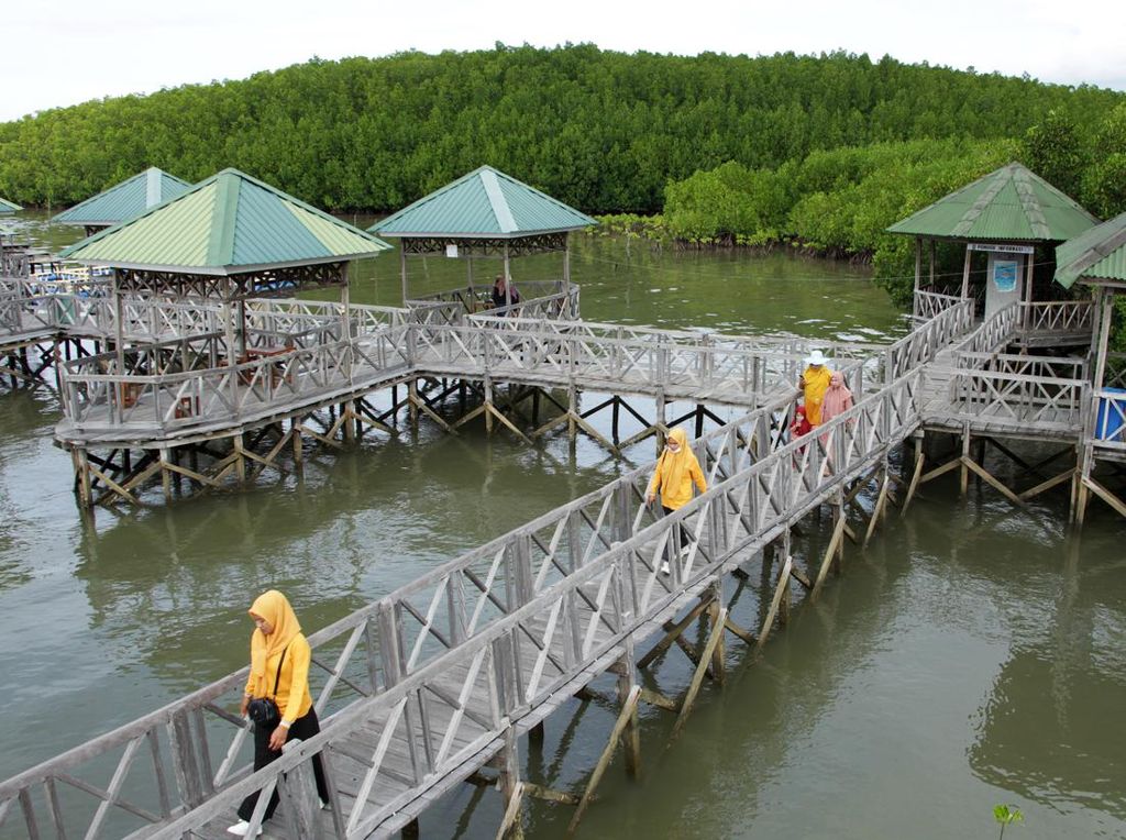 Akhir Pekan, Hutan Mangrove di Sulsel Ini Jadi Favorit Wisatawan