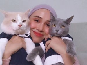 Kucing Pororo Hilang Trending di Twitter, Bikin Netizen Sedih