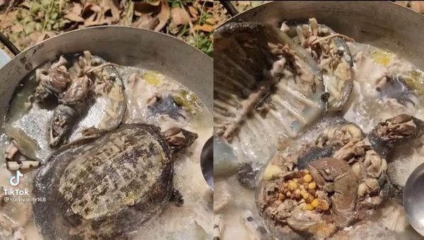 Bukannya Bikin Lapar, 10 Makanan Ini Malah Bikin Mual