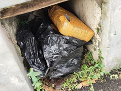 Warga Bogor Temukan Ganja 3 Kg di Pinggir Jalan, Polisi Telusuri