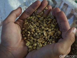 Rubath Kopi Jombang Ekspor 12 Ton Excelsa ke Malaysia, Omzet Rp 360 Juta Rubath Kopi Jombang Ekspor 12 Ton Excelsa ke Malaysia, Omzet Rp 360 Juta