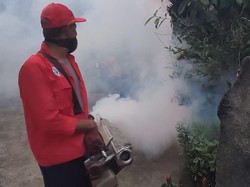 Kasus Naik, Tabanan Waspada Wabah Chikungunya dan DBD