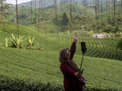 Cuaca Ekstrem, Disbudpar Lebak Optimistis Jumlah Turis Capai Target