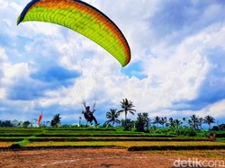 Banyuwangi Gelar Kejuaraan Triathlon yang Diikuti Peserta Juara Dunia