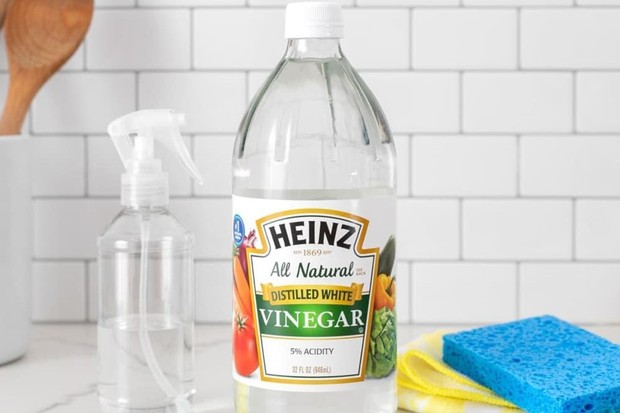 Cuka/Foto: Pinterest/The kitchn