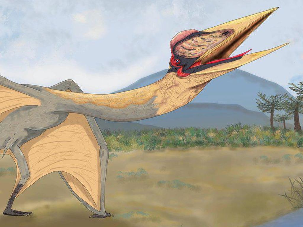 Fosil Reptil Terbang Naga Kematian Ditemukan di Argentina