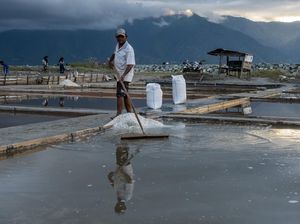 Garis Pantainya Terpanjang Kedua di Dunia, Kok RI Masih Impor Garam?
