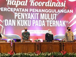 Gubernur Khofifah Sebut Stok Sapi Surplus untuk Hewan Kurban Gubernur Khofifah Sebut Stok Sapi Surplus untuk Hewan Kurban