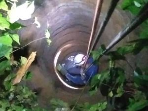 Damkar Bogor Evakuasi 3 Kucing Tercebur ke Sumur, 1 Mati Tenggelam Damkar Bogor Evakuasi 3 Kucing Tercebur ke Sumur, 1 Mati Tenggelam