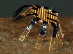 Ilmuwan Sukses Bikin Robot Terkecil di Dunia, Bisa Jalan dan Lompat