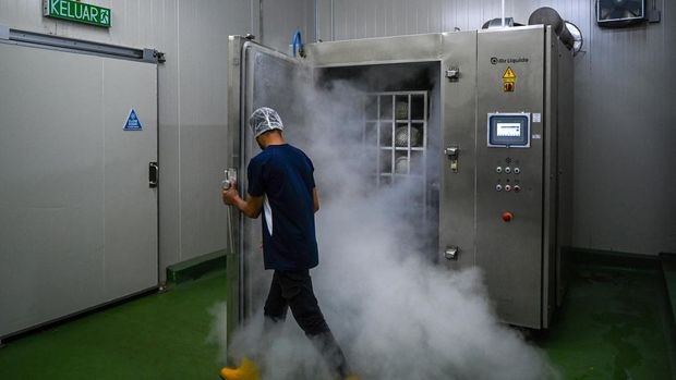 This picture taken on April 26, 2022 shows a worker opening a liquid nitrogen freezing tank to check on frozen durian fruit at the Top Fruit factory in Batu Pahat in Malaysia's Johor state. - Drones spraying pesticide, sensors taking soil readings, sprinklers that squirt fertiliser at the touch of a button -- a Malaysian plantation is using high-tech methods to boost its crop of pungent durians. (Photo by Mohd RASFAN / AFP)