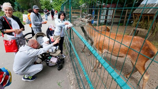 Nasib Kebun Binatang Ukraina di Tengah Perang