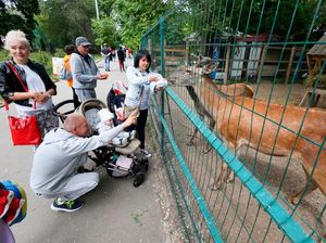 Nasib Kebun Binatang Ukraina di Tengah Perang Nasib Kebun Binatang Ukraina di Tengah Perang