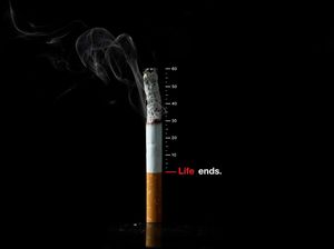 Kritik WHO untuk Perokok RI: Prevalensi Turun, Tapi Jumlah Totalnya Naik