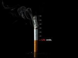 Kritik WHO untuk Perokok RI: Prevalensi Turun, Tapi Jumlah Totalnya Naik