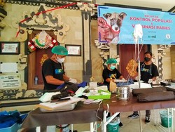 Tekan Rabies di Jembrana, Kontrol Populasi Anjing Lewat Sterilisasi