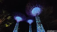 Pesona Gardens by the Bay Saat Malam Hari