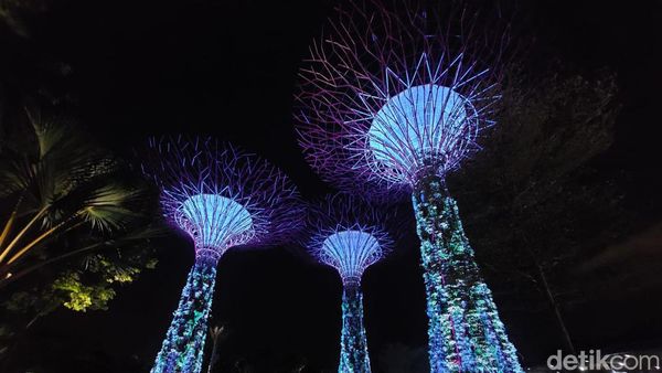 Pesona Gardens by the Bay Saat Malam Hari