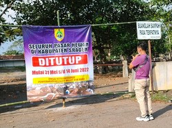 Temukan Sapi Kena PMK, Pemkab Sragen Tutup Semua Pasar Hewan 2 Pekan