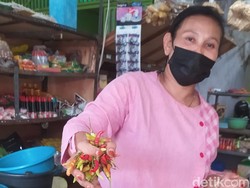 Harga Telur Ayam di Lamongan Stabil, Cabai-Tomat Naik Tajam