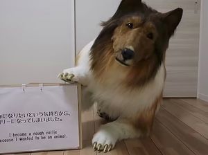 Fantasi Liar Pria yang Hidup Jadi Anjing Fantasi Liar Pria yang Hidup Jadi Anjing