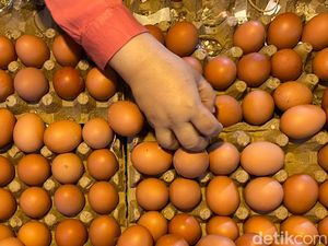 Harga Telur Ayam di Bandung Merangkak Naik Jelang Akhir Tahun Harga Telur Ayam di Bandung Merangkak Naik Jelang Akhir Tahun