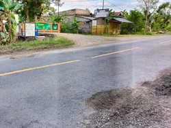 Tolong! Jalan Trans Sulawesi di Walenrang Utara Luwu Rusak-Banyak Kecelakaan